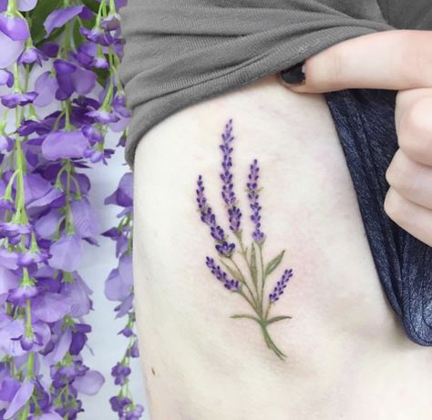 Scottish Heather Tattoo, Scottish Heather Flower, Heather Tattoos, Heather Flower Tattoo, Purple Flower Tattoos, Minnie Tattoo, Scottish Tattoos, Roots Tattoo, Heather Flower