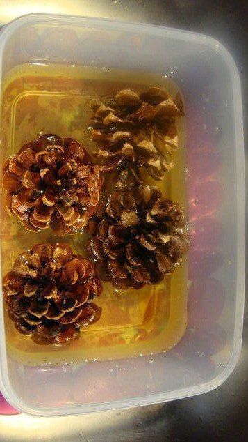 This fall idea is stunning! Bleach Pinecones, Pine Cone Decorations, Cones Crafts, Fall Table Decor, Pine Cone Crafts, Upcycled Crafts, Fall Table, Décor Diy, Garden Diy