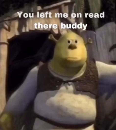 Shrek Reaction, Left Me On Read, Reaction Photo, Response Memes, Image Chat, Snapchat Funny, You Left Me, Funny Profile, Very Funny Pictures