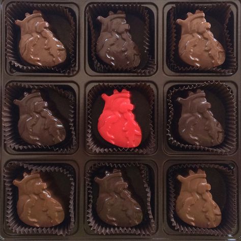 These anatomically correct hearts: | 24 Totally Bizarre Chocolates To Give Your Valentine Anatomically Correct Heart, Gifts Boxes, Valentine Chocolate, Chocolate Gift Boxes, Chocolate Hearts, Ex Machina, Chocolate Gifts, Columbus Ohio, Lungs