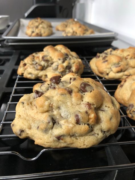 The Best Chocolate Chip Walnut Cookies – Catching Up With Nkechi Royal Cookies Recipe, Walnut Chocolate Chip Cookies, Walnut Cookie Recipes, Chocolate Chip Walnut Cookies, Best Chocolate Chip Cookies Recipe, Gooey Cookies, Walnut Recipes, Best Chocolate Chip, Make Cookies