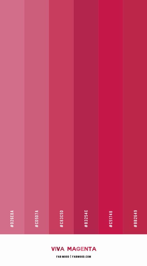 Pantone Magenta 2023, Magenta Pallete, Viva Magenta Palette, Magenta Colour Palette, Magenta Branding, Magenta Color Palette, Colour Of The Year 2023, Magenta Palette, Pantone Viva Magenta