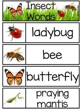 Insect Invasion! Bugs Math And Literacy Unit! Bugs And Insects Preschool Writing, Preschool Insects, Insects Kindergarten, Preschool Bugs, Insect Study, Centers For Preschool, Insect Unit, Insects Preschool, Spring Lessons