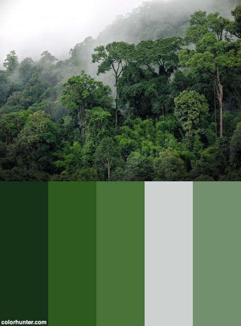 Khao+Sok+Rainforest+Color+Scheme Costa Rica Color Palette, Jungle Green Color Palette, Rainforest Colour Palette, Jungle Color Palette Tropical, Jungle Color Palette, Rain Forest Color Palette, Rainforest Color Palette, Rainforest Palette, Tropical Rainforest Color Palette