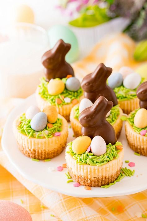 Mini Cheesecakes Easter, Easter Bite Size Desserts, Mini Easter Cheesecake Recipes, Easter Cheesecake Mini, Individual Easter Desserts, Easter Cheesecake Recipes, Easter Mini Cheesecakes, Mini Easter Desserts, Ostara Desserts