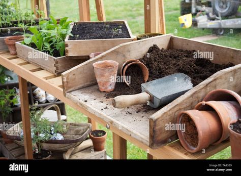 Potting Bench In Greenhouse, Greenhouse Potting Bench, Greenhouse Bench Ideas, Greenhouse Benches Diy, Greenhouse Interior Ideas, Potting Benches Diy, Greenhouse Interior, Greenhouse Benches, Potting Bench Ideas