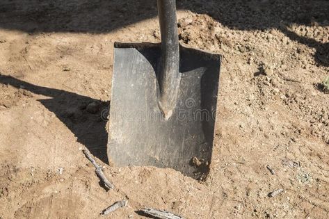 Shovel stuck in soil stock images Sandy Soil, Shovel, Sunny Day, Sunny Days, Soil, Photo Image, Spirituality, Stock Images, Stock Photos