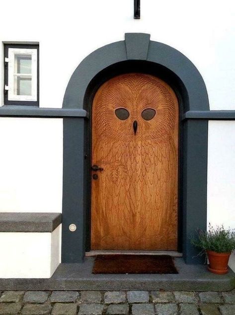 Owl Door, Wooden Owl, Tulip Chair, Design Fails, Main Door Design, Number 0, Strange Photos, Indian Homes, Number 9