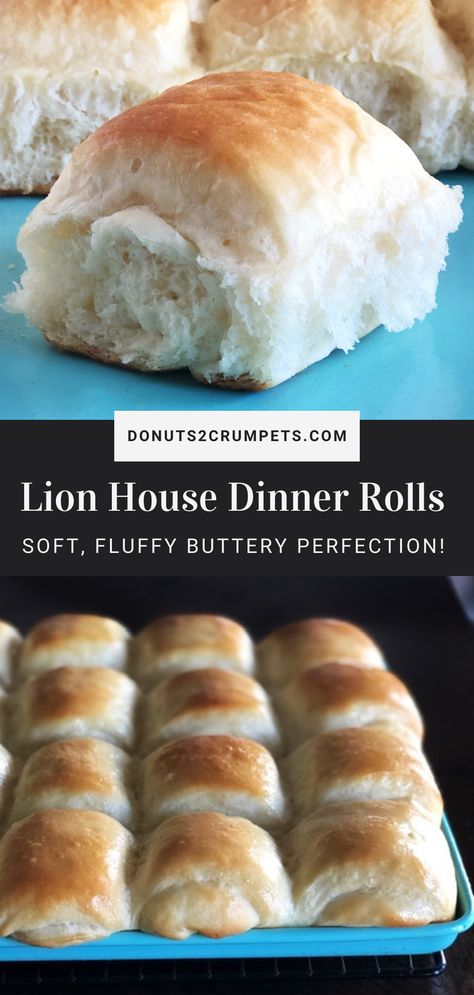 Lion House Rolls, Rolls Bread, Best Freeze Dried Food, Lion House, Homemade Rolls, Dinner Rolls Recipe, Bun Recipe, Bread Machine Recipes, Easy Delicious Recipes