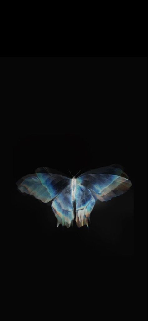 Dark Blue Lockscreen Iphone, Wallpaper Iphone Black And Blue, Deep Blue Wallpaper Iphone, Wallpaper Iphone Blue Dark, Dark Blue Butterfly Aesthetic, Morpho Butterfly Aesthetic, Morpho Wallpaper, Butterfly Dark Wallpaper, Earthy Goth Aesthetic