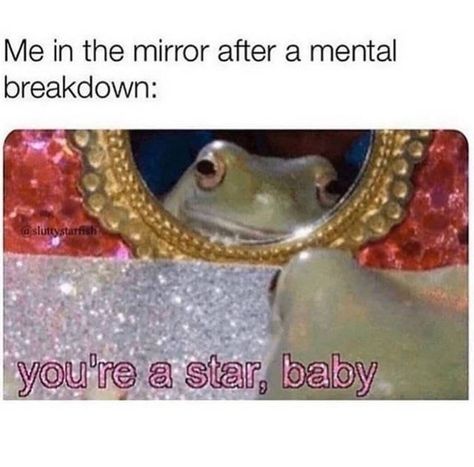 A Frog, Wholesome Memes, E Card, What’s Going On, Really Funny Memes, Satire, Animal Memes, Best Memes, Mood Pics