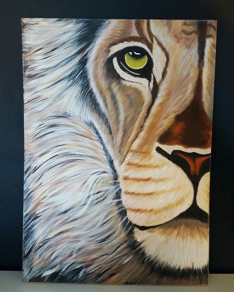 #lion #acrylics #canvas #painting Lion Painting Acrylic, Painting Acrylic Easy, Lion Canvas Painting, Animals Safari, Lion Painting, Cute Canvas Paintings, Easy Canvas Painting, Canvas Painting Diy, Lion Art