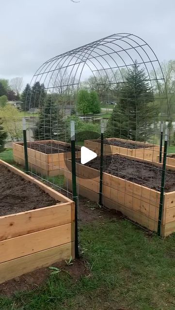 EMRAN HOSSAIN MIZAN on Instagram: "Credit@morethangardening

We set up 3 of these over the weekend!! I can’t wait to have these filled up with green beans, cucumbers, cantaloupe, and squash! 

Do you have cattle panel trellises in your garden? 

#cattlepanel #cattlepaneltrellis #cattlepanelarch #trellis #verticalgardening #garden #gardening #morethangardening" Green Bean Trellis, Cattle Panel Trellis, Bean Trellis, Different Types Of Fences, Cattle Panels, Vegetable Garden Planner, Cucumber Trellis, Types Of Fences, Horse Ranch