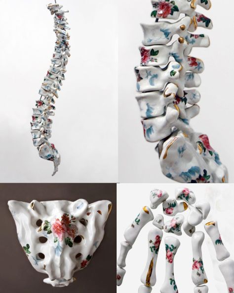 Anatomical Ceramic Sculptures by Maria Garcia-Ibáñez Maria Garcia, Anatomy Sculpture, 3d Studio, Ap Art, Sculpture Installation, Anatomy Art, 영감을 주는 캐릭터, An Animal, Art Plastique