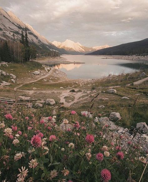 Time to run in the wildflowers swim in the lakes and climb up the mountains! Photo by @monascherie #MyJasper 심플한 그림, Matka Natura, Mountain Photos, Nature Aesthetic, The Nature, Pics Art, Pretty Places, Photography Nature, Nature Travel