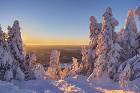 Sunset from Mont Tremblant Summit by ● Kirill ● Mourzenko ● / 500px Landscape Photography Horizontal, Photography Horizontal, Winter Landscape Photography, Mont Tremblant, Winter Landscape, Nature Travel, Mount Everest, Landscape Photography, Travel Photography