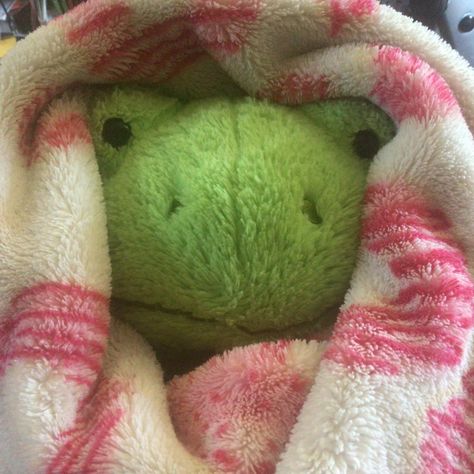 Bild A Bear Frog, Build A Bear Frog Names, Build A Bear Frog Aesthetic, Plushie Aesthetic, Bab Frogs, Build A Bear Frog, Frog Stuff, Build A Bear Outfits, Frog Plush