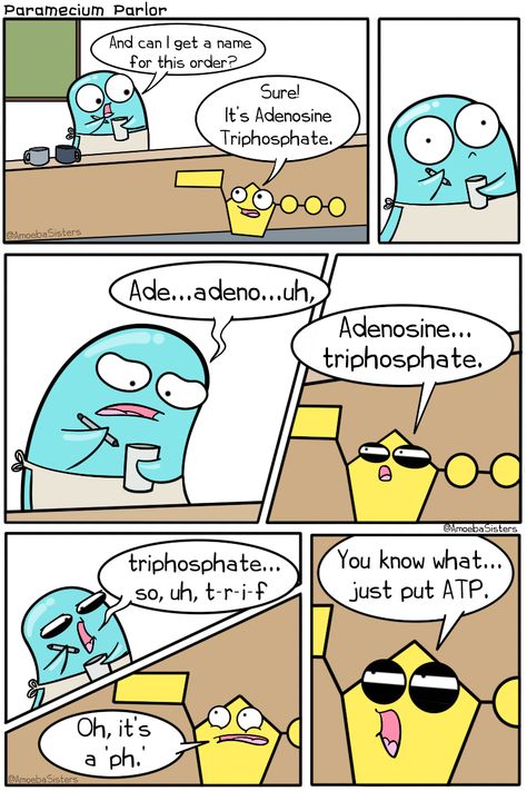 #atp #science #biology #comic #cartoon #amoebasisters Science Jokes Biology, Biology Memes Humor, Biology Jokes Science Humor, Biology Funny Science Jokes, Biology Comics, Atp Biology, Science Humor Biology, Amoeba Sisters, Biology Jokes