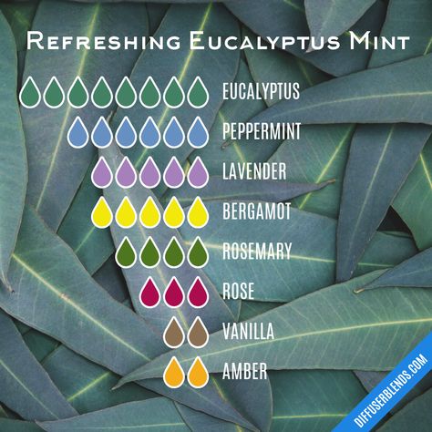 Refreshing Eucalyptus Mint | DiffuserBlends.com Eucalyptus Mint Candle, Diy Perfumes, Mint Candle, Diffuser Oils, Mint Essential Oil, Aromatherapy Recipes, Liquid Castile Soap, Diy Perfume, Essential Oil Diffuser Recipes