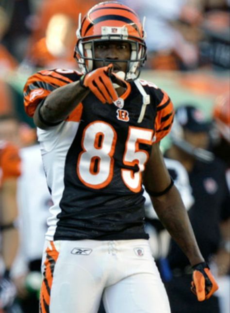 CHAD OCHOCINCO JOHNSON Ocho Cinco, Taoism Quotes, Chad Ochocinco, Aaron Hernandez, Mood Pictures, Sports Inspiration, Cincinnati Bengals Football, Bengals Football, Nfl Football Players