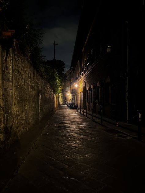 #aesthetic #firenze #florence #florenceitaly #night #nightwalk Florence Core Aesthetic, Florence Italy Aesthetic Night, Florence Core, Florence City, Night Owls, Night Owl, + Core + Aesthetic, Night City, Florence Italy