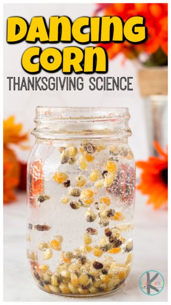 Dancing Popcorn Experiment, Dancing Popcorn, Dancing Corn, Thanksgiving Science, Pumpkin Math Activities, November Lesson Plans, Thanksgiving Math Activities, Thanksgiving Activities Preschool, Planning School