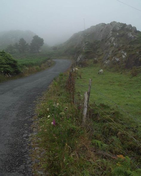 English Countryside Aesthetic, Ireland Aesthetic, Irish Country, Irish Countryside, Foggy Morning, English Countryside, Pretty Places, Mother Earth, Aesthetic Pictures