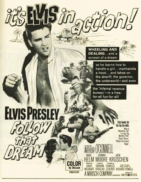 Follow that Dream = 1962 - Elvis Presley Elvis Poster Vintage, Elvis Poster, Sofia Coppola Movies, Elvis Presley Posters, Elvis Presley Wallpaper, Elvis Presley Movies, Elvis And Priscilla, Elvis Movies, Elvis Presley Photos