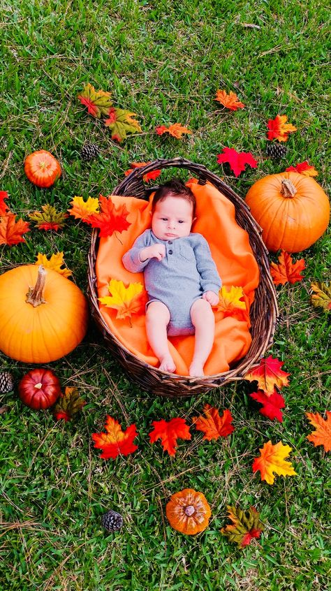 Newborn Pumpkin Photoshoot, 4 Month Fall Baby Pictures, Fall Infant Photoshoot, Newborn Fall Photoshoot, Baby Pumpkin Pictures, Halloween Baby Pictures, Fotos Halloween, Fall Baby Photos, Halloween Photography Backdrop