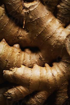 12390 stock photo and video results for 'ginger ' Ginger Roots, Vegetable Pictures, Micro Photography, Ginger Flower, Wild Ginger, Flower Close Up, Dry Ginger, Ginger Spice, Feminine Health