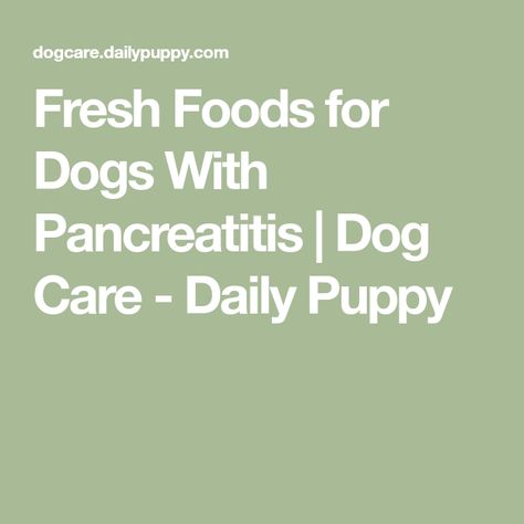 Pancreatic Dog Food Recipes, Pancreatic Diet Recipes For Dogs, Hepatic Diet For Dogs, Dog Pancreatic Diet, Pancreatic Diet For Dogs, Homemade Dog Food Kidney Diet, Low Fat Dog Food, Pancreatic Diet, Homemade Dog Food Vet Approved