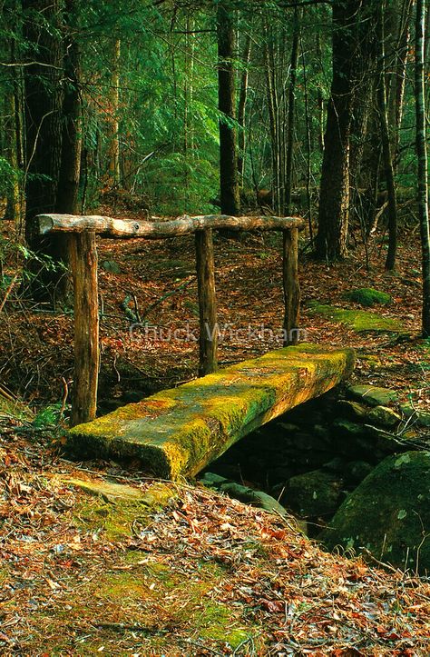 Creek Bridge Ideas, Log Bridge, Backyard Bridges, Outdoor Bridges, Wooded Landscaping, Cheap Flight Tickets, Cheap Flight, Fairy Queen, Flight Tickets