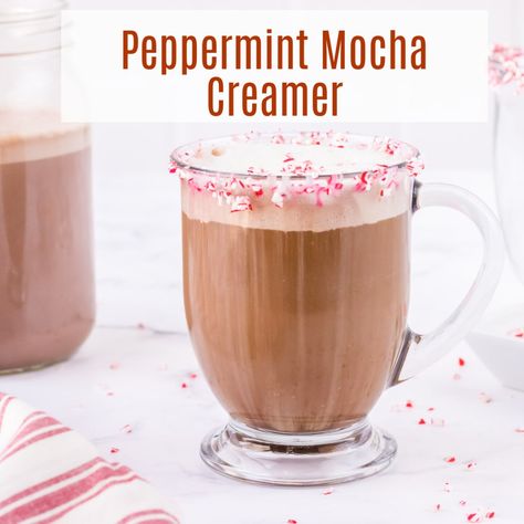 Homemade Peppermint Mocha Creamer, Mocha Coffee Creamer Recipe, Mocha Creamer Recipe, Flavored Coffee Creamer Recipes, Peppermint Mocha Coffee Creamer, Peppermint Coffee Creamer, Peppermint Mocha Coffee, Homemade Peppermint Mocha, Peppermint Mocha Creamer