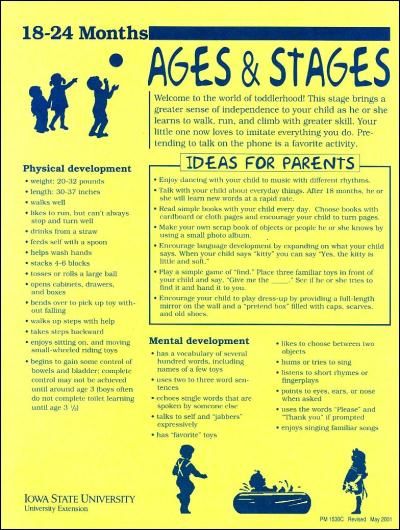 18-24 Months -- Ages and Stages - Thumbnail Educational Toddler Activities, Child Development Activities, Health Posters, Ages And Stages, Adolescent Health, Toddler Education, Toys By Age, Developmental Stages, Health Ideas