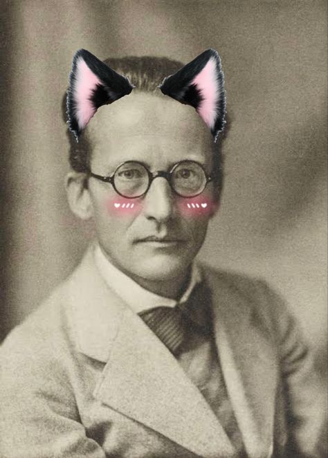 Schrodinger Cat, Erwin Schrodinger, Erwin Schrödinger, Historical Humor, Modern Hijab, Modern Hijab Fashion, Cute Christmas Wallpaper, Try Not To Laugh, Christmas Wallpaper