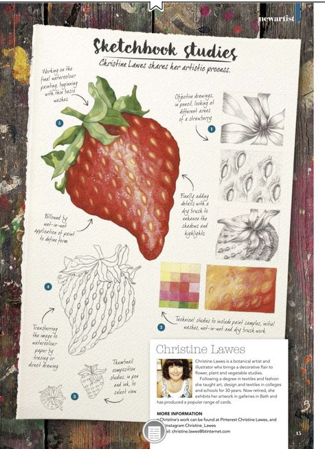 Art Folio Inspiration, A Level Art Experimentation, Fruit Sketchbook Page, Ap Art Portfolio Ideas Sketchbook Pages, Gcse Art Food Title Page, Learning Diary Ideas, Art Folio Year 12, Art Portfolio Ideas College, Ap Art Sketchbook