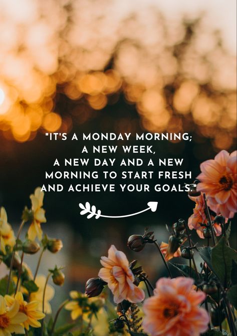 It's a Monday morning; a new week, a new day and a new morning to start fresh and achieve your goals 😇 . . #monday #mondaymotivation #mondaymood #love #motivation New Monday New Week New Goals, Monday Morning Quotes Inspiration Positivity, Happy Monday Morning Inspiration, Monday Blessings New Week, New Week Motivation, Monday Quotes Positive, Monday Aesthetic, New Week Quotes, Have A Beautiful Week