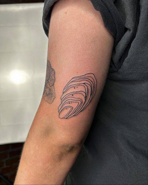 Oyster Shell With Pearl Tattoo, Blue Oyster Tattoo, Paua Shell Tattoo, Oyster Tattoo Ideas, Mollusk Tattoo, Small Oyster Tattoo, Oyster Tattoo Simple, Ocean Heart Tattoo, Oyster Shell Tattoo