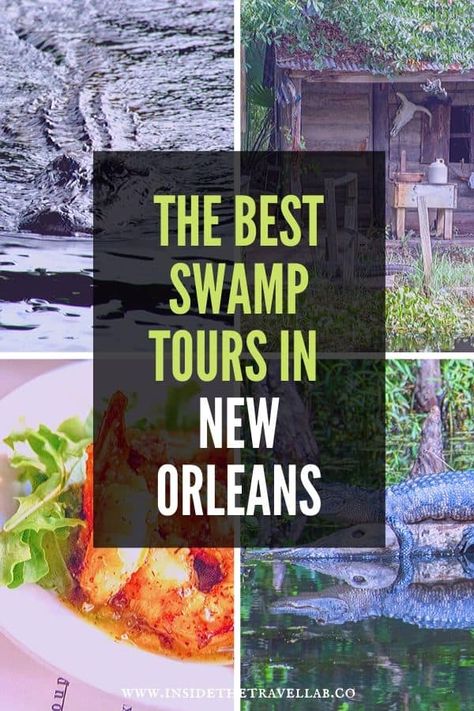 Air Boats, Tours In New Orleans, Air Boat, Swamp Tours, New Orleans Vacation, Louisiana Travel, North America Travel Destinations, Travel America, New Orleans Travel