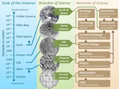 What are the Branches of Science ? | Know-It-All Scale Of The Universe, Science Chart, Branches Of Science, Planetary Science, Short Essay, Oceanography, History Projects, Research Methods, Homeschool Science