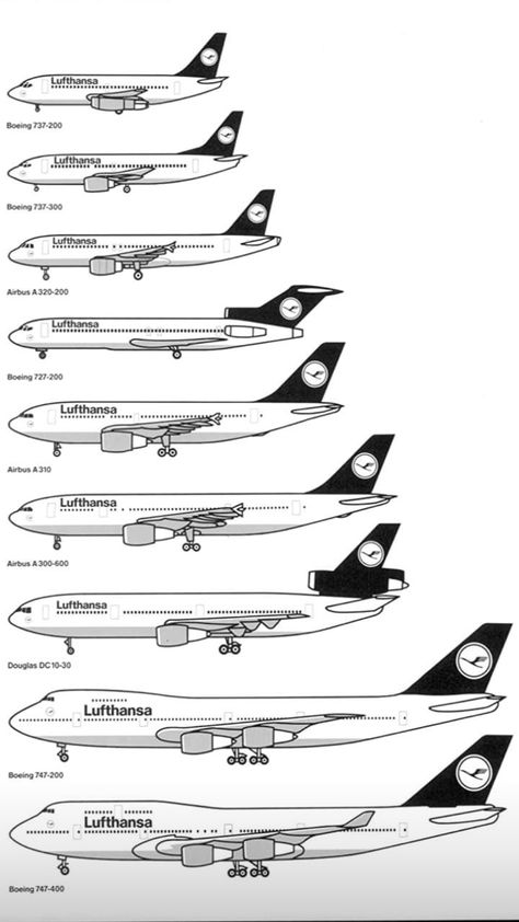 747 Airplane, Aviation Education, Commercial Plane, Pet Raccoon, Aerospace Engineering, Martial Arts Workout, Vintage Airlines, Vintage Aircraft, Boeing 747