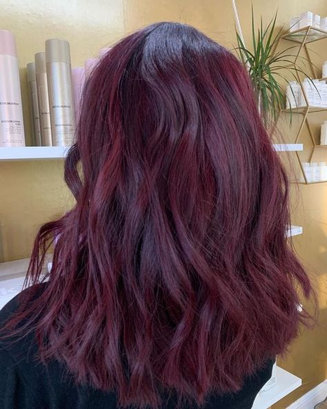 Light Red Violet Brown Hair, Mauve Red Hair, Dark Merlot Hair Color, Reddish Purple Hair, Merlot Hair, Violet Brown Hair, Asian Brown Hair, Chocolate Mauve Hair, Purple Red Hair Color