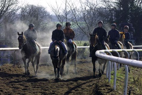 Jockey Aesthetic, National Hunt Racing, Eventing Cross Country, Countryside Living, Horse Things, Types Of Horses, Horse Aesthetic, All About Horses, Future Life