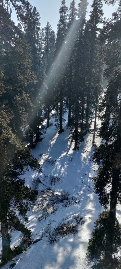 Gulmarg Kashmir Snapchat, Mussoorie Snow Fall, Snow In Kashmir, Kashmir Snap, Kashmir Wallpaper, Kashmir Images, Kashmir Snow, Snow Snap, Girlfriend Snap