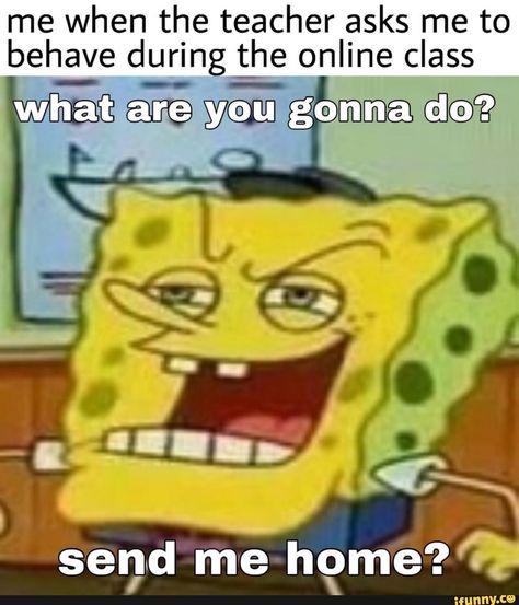 Found on iFunny Class Memes, Spongebob Memes, School Memes, R Memes, Online Class, Life Memes, Love Memes, School Humor, Really Funny Memes