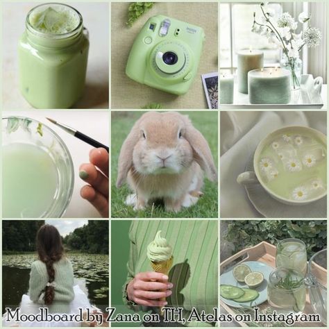 Sage Color Aesthetic, Bunny Moodboard, Aesthetic Bunny, Make Your Own Character, Color Aesthetic, Royal Aesthetic, Writing Art, Free Use, Sage Color