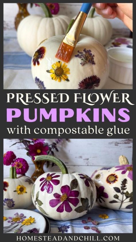 Looking for DIY pumpkin decorating ideas, with no carving involved? Come learn how to make beautiful natural pressed flower pumpkins using dried flowers, pressed fall leaves, herbs, or other botanicals plus DIY nontoxic biodegradable cornstarch glue - so your botanical pumpkins can be composted or eaten at the end of the season! This is such a fun and easy fall craft project idea for the whole family to enjoy. It's one of my favorite sustainable natural crafts and DIY halloween decorations! Diy Pumpkin Decorating Ideas, Flower Pumpkins, Pumpkins Decorated, Natural Fall Decor, Pumpkin Decorating Diy, Natural Crafts, Fall Crafts For Adults, Halloween Pumpkin Crafts, No Carve Pumpkin Decorating