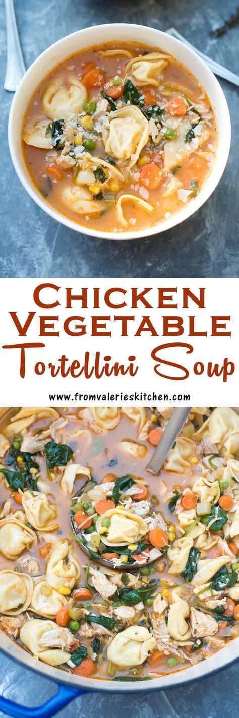 This Chicken Vegetable Tortellini Soup is made easy with a rotisserie chicken and store-bought cheese tortellini. A wholesome, comforting 30-minute meal! Vegetable Tortellini Soup, Vegetable Tortellini, Soup Tortellini, Student Meals, Vege Dishes, Healthy Meals Ideas, Italian Cuisine Recipe, Chicken Tortellini, Chicken Vegetable