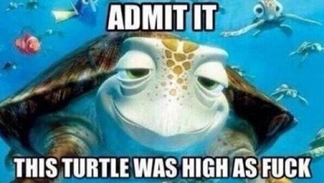 Finding Nemo Quotes, Kind Meme, Nemo Quotes, Nemo Dory, Finding Dory, World Of Disney, A Turtle, Puff And Pass, Kid Memes