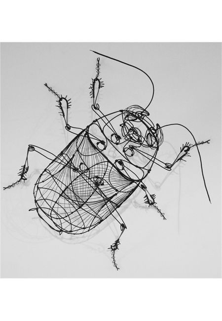 Art For Infants, Insect Craft, Bug Activities, Art Fil, Insect Crafts, Bug Art, Art Wire, Sculpture Projects, Wire Drawing